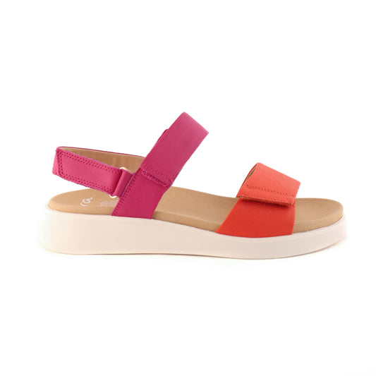 21401 Orange and Pink