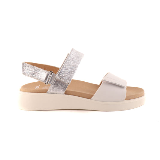 21401 White and Silver