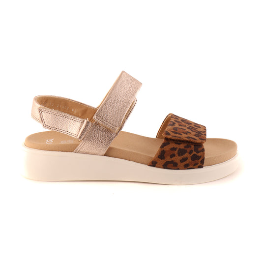 21401 Leopard and Metallic