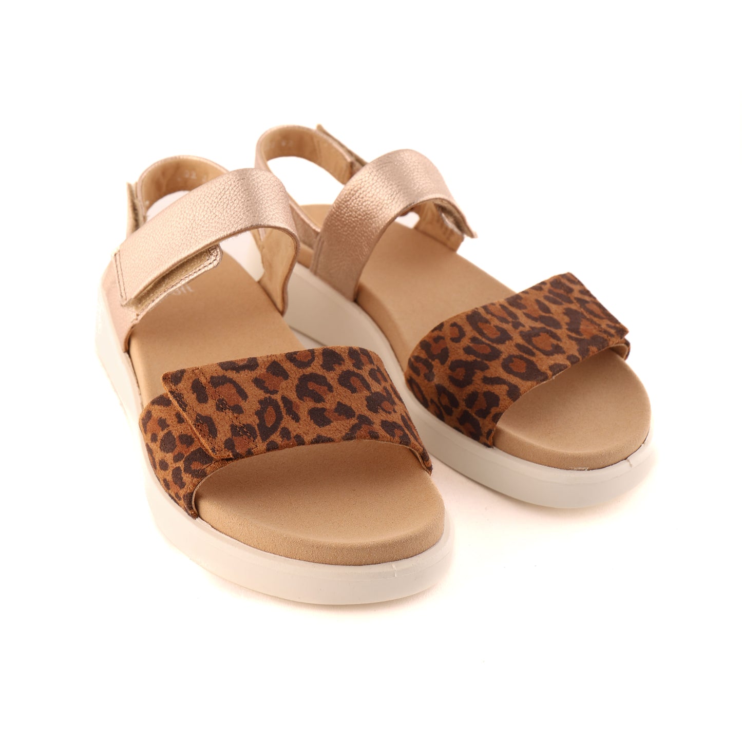 21401 Leopard and Metallic