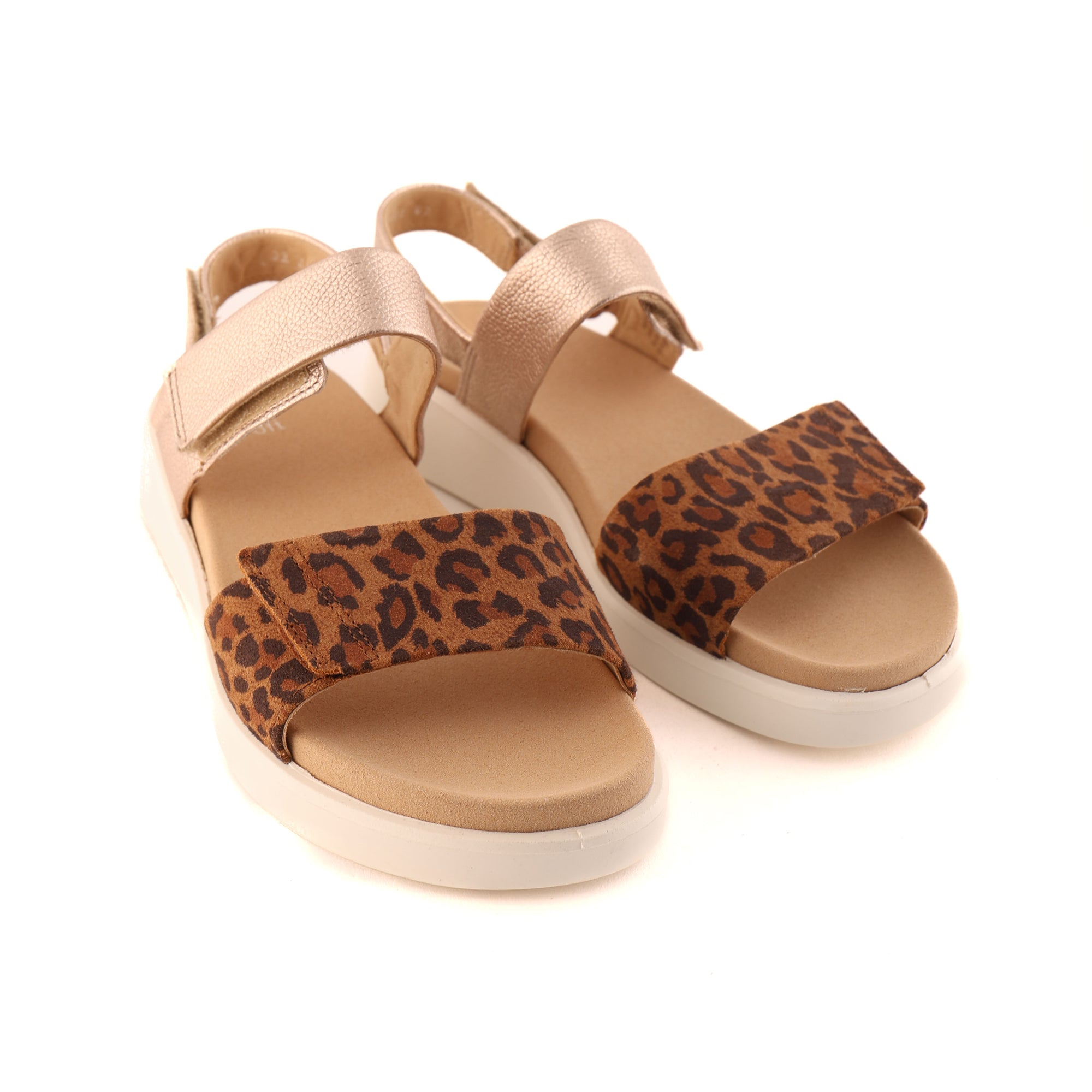 21401 Leopard and Metallic