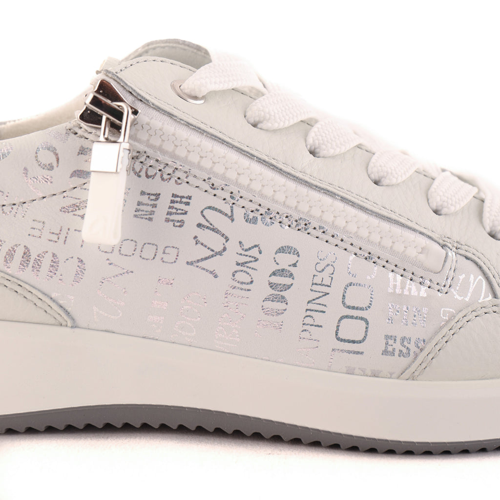23901 Silver Multi