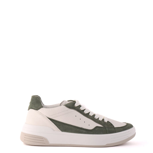 25700 Green Multi