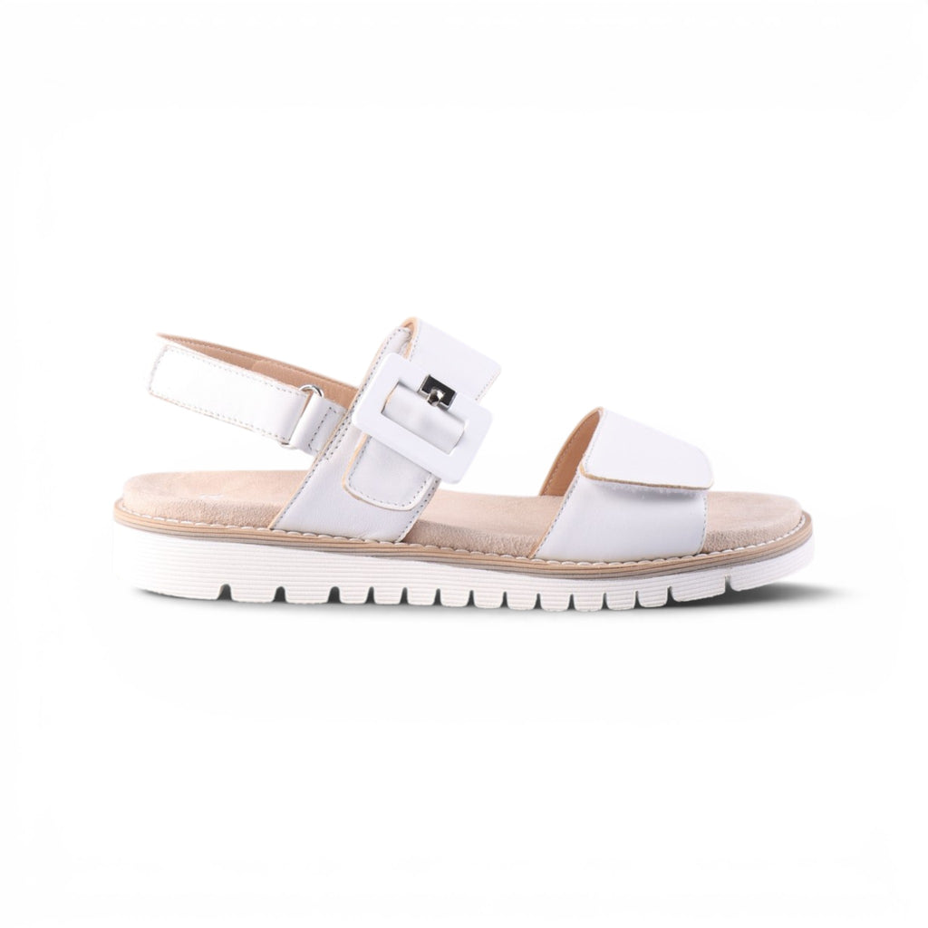28134 White