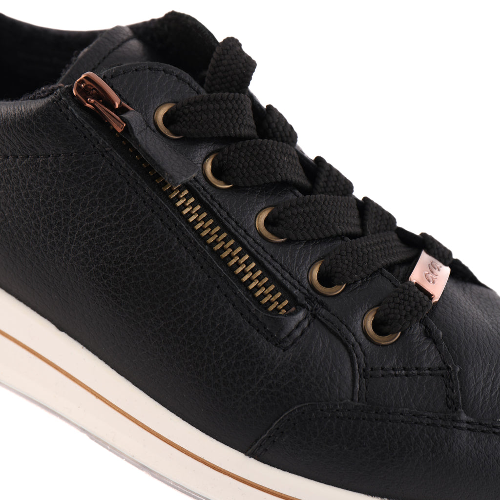 24801 Black Multi