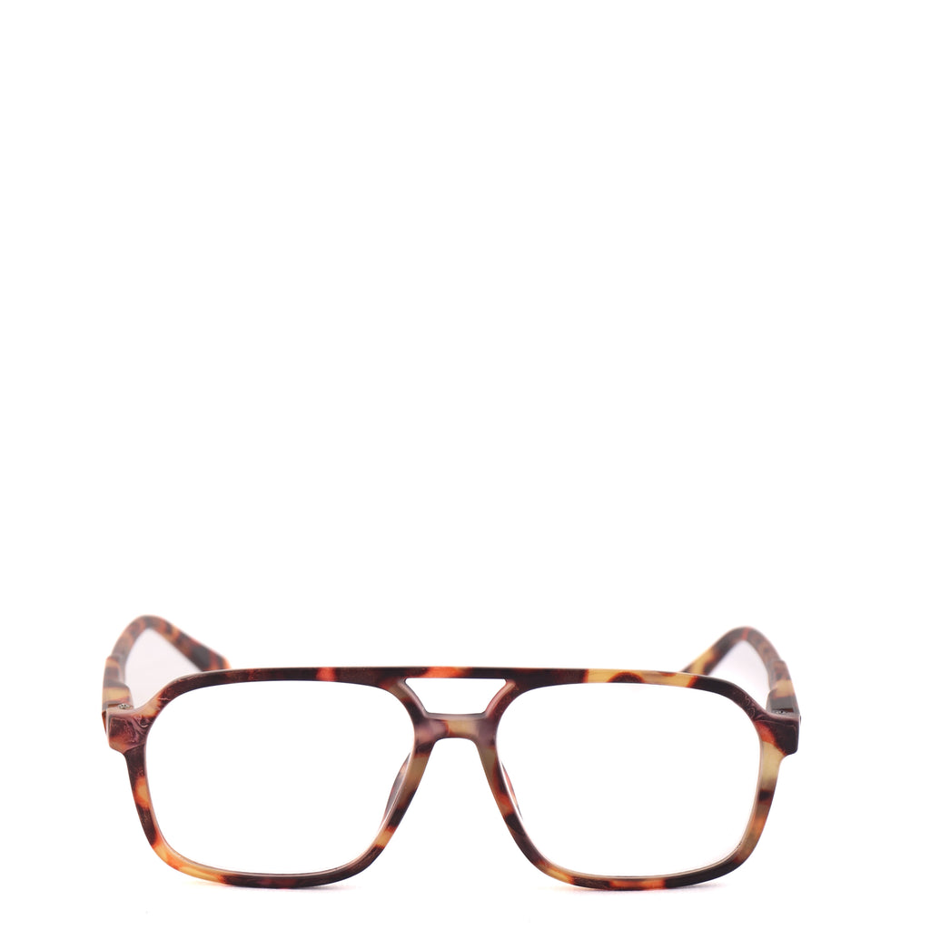 GARFIELD READER Tortoise