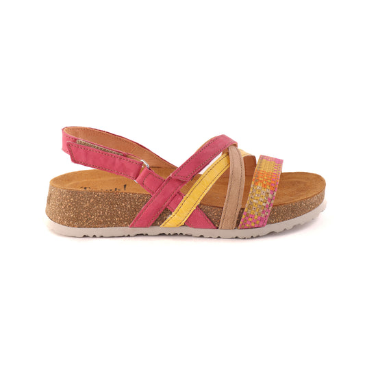 TEDDIE Pink Multi