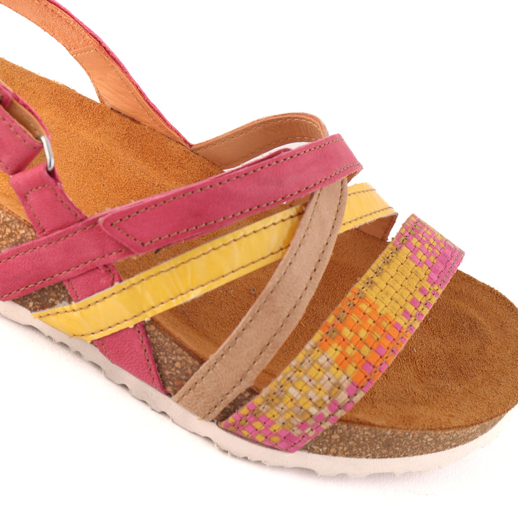 TEDDIE Pink Multi
