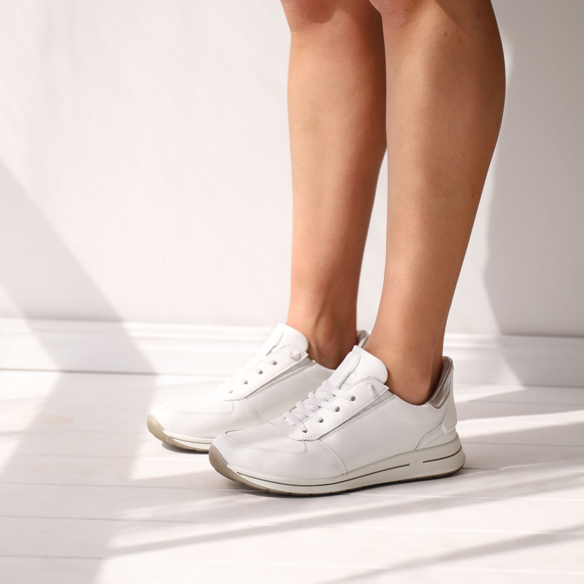 24836 White and Silver