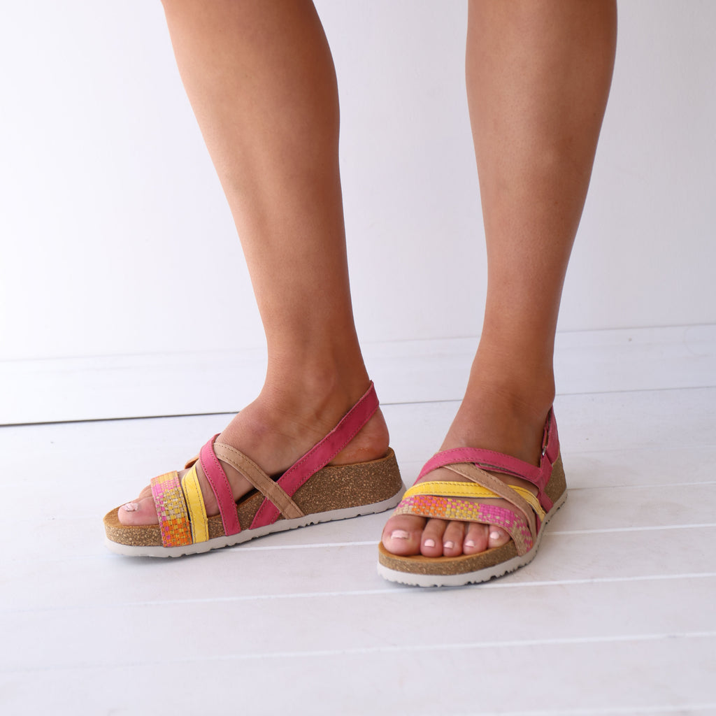 TEDDIE Pink Multi