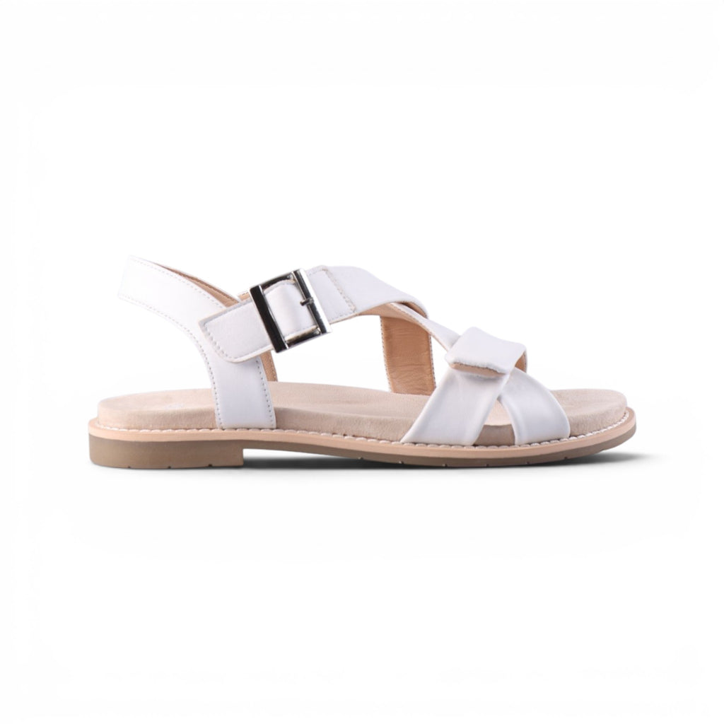 53606 White