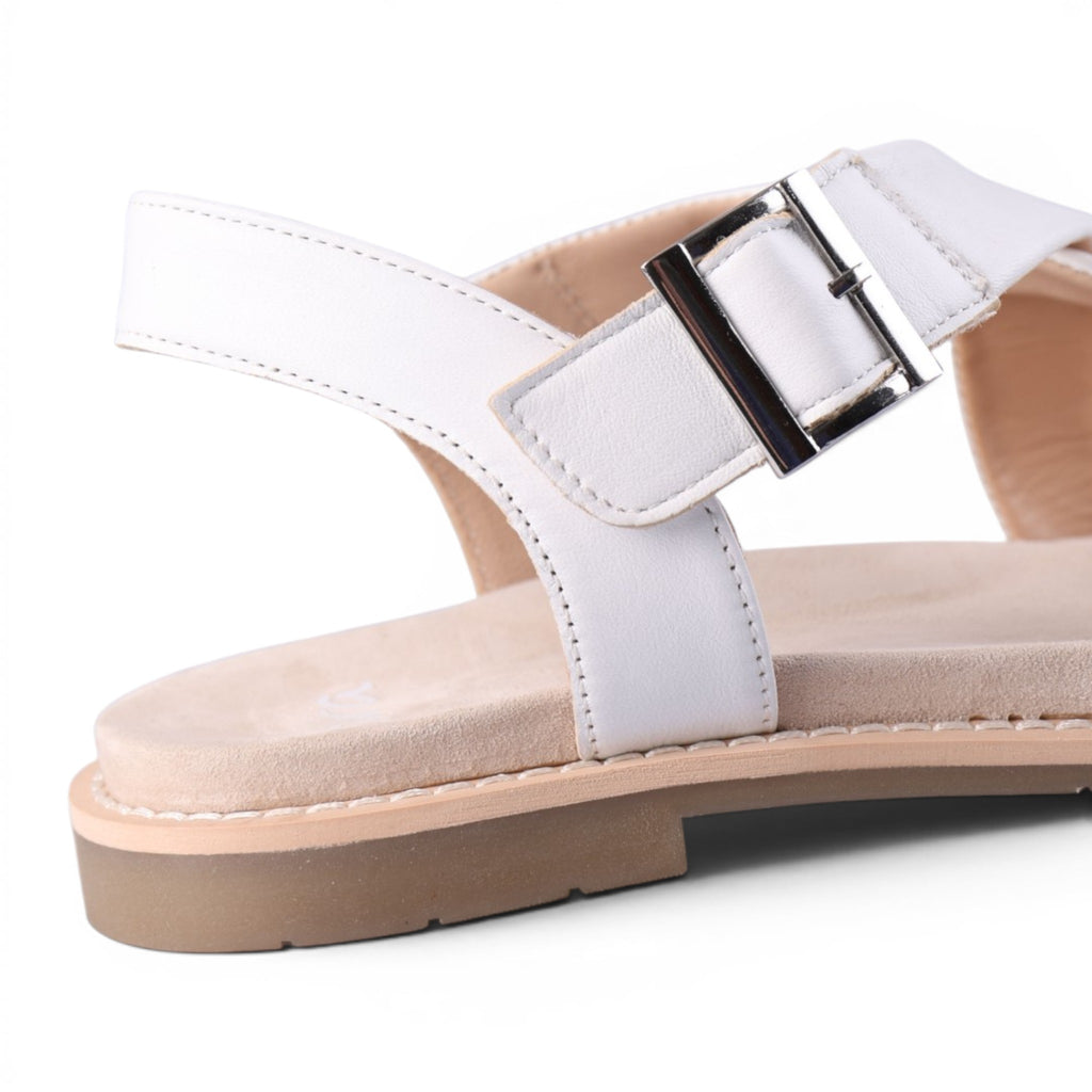 53606 White