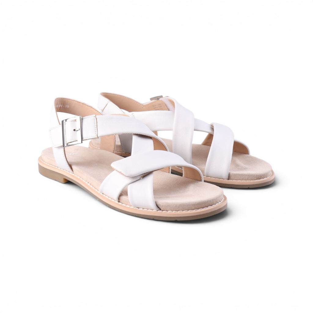 53606 White