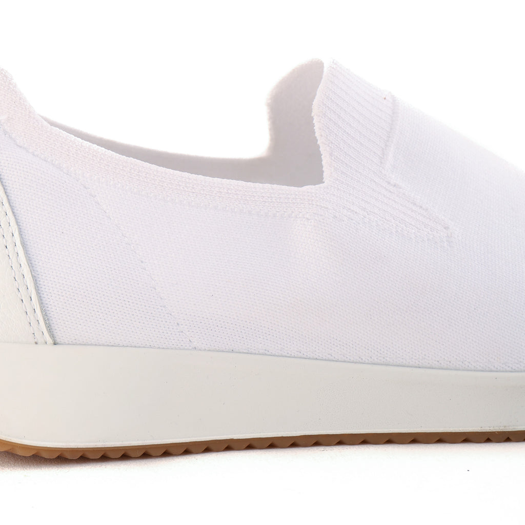 54042 White