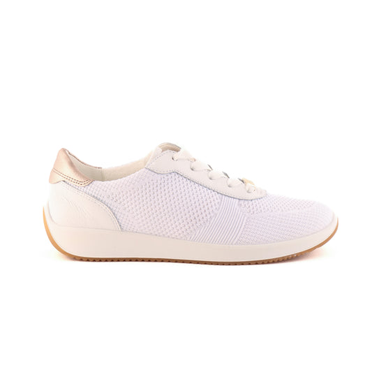 54052 White