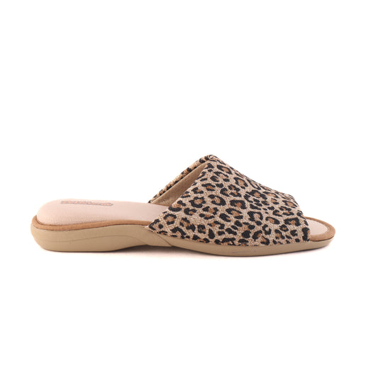 6503 Leopard