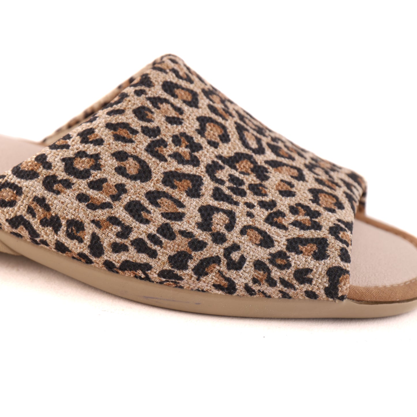 6503 Leopard