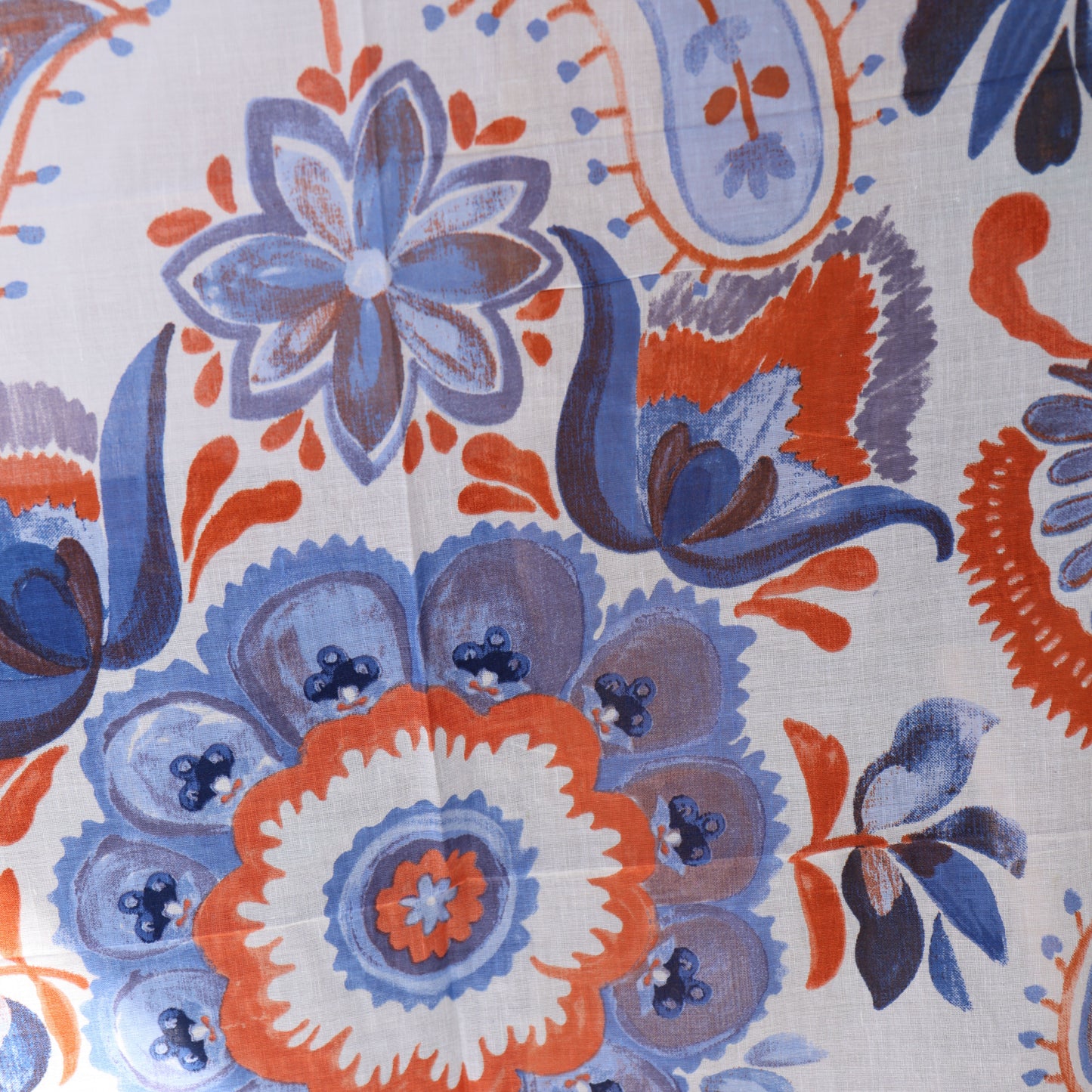 CARLTIN Blue Multi