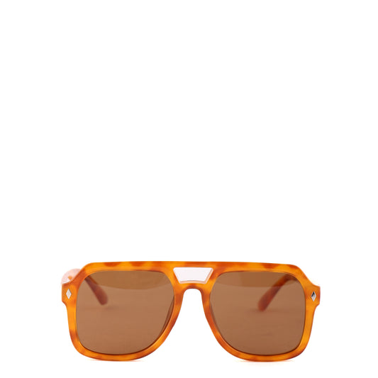 GENESIS Caramel Tortoise