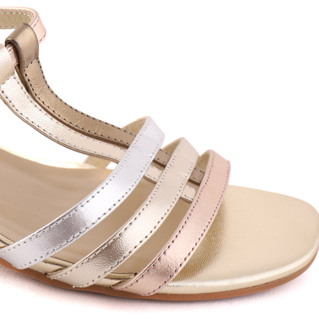 REEDYN Metallic Multi