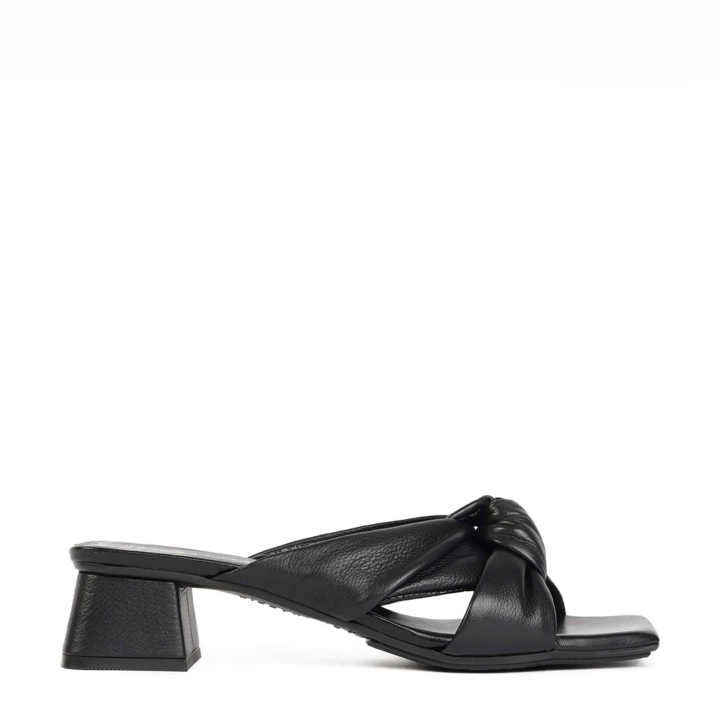 HISPANITAS SLIDE - MID SIDNEY